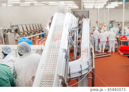 Chicken fillet production line . Factory for the production of food from meat.Modern poultry processing plant.Conveyor Belt Food.The meat factory. Chicken fillet production line . Factory for the production of food from meat.Modern poultry processing plant.Conveyor Belt Food.The meat factory. 85892073