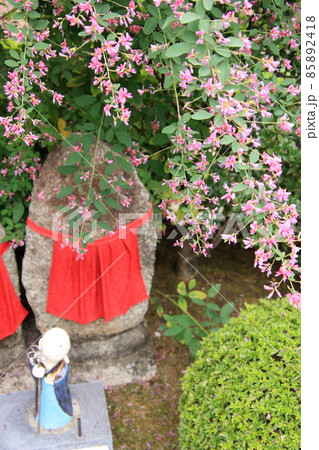 京都新選組ゆかりの寺・壬生寺 85892418