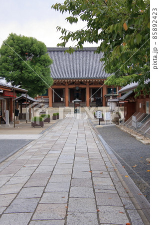 京都新選組ゆかりの寺・壬生寺 京都新選組ゆかりの寺・壬生寺 85892423