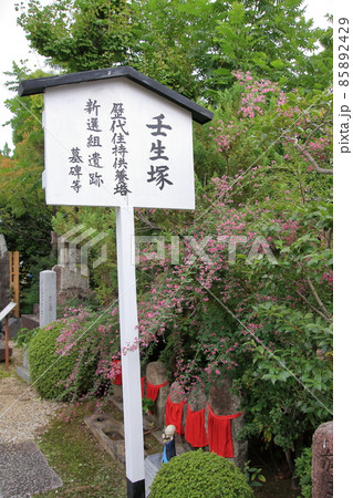 京都新選組ゆかりの寺・壬生寺 85892429