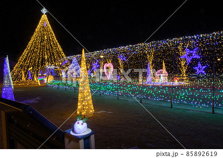 イルミネーションと雪うさぎ イルミネーションと雪うさぎ 85892619