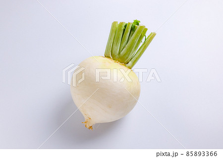 かぶ　白バック 85893366