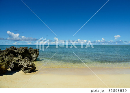 波照間島浜シタン群落の大絶景 波照間島浜シタン群落の大絶景 85893639