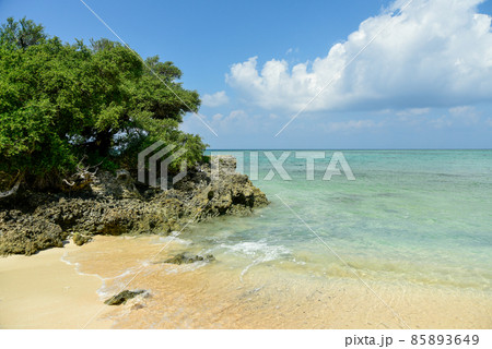 波照間島浜シタン群落の大絶景 波照間島浜シタン群落の大絶景 85893649
