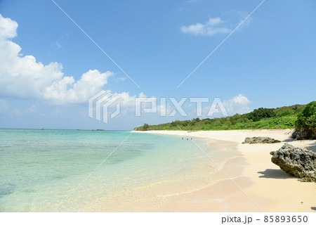 波照間島浜シタン群落の大絶景 85893650