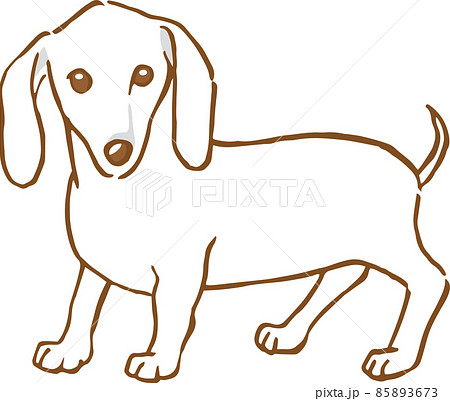 立っている白いミニチュアダックスフンドのイメージイラスト 手描き のイラスト素材
