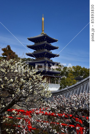 中山寺の梅林 安産の寺 聖徳太子創建 日本最初の観音霊場 中山寺の梅林 安産の寺 聖徳太子創建 日本最初の観音霊場 85893830