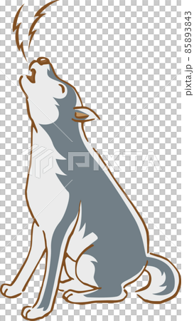遠吠えをしているオオカミのイメージイラスト 85893843