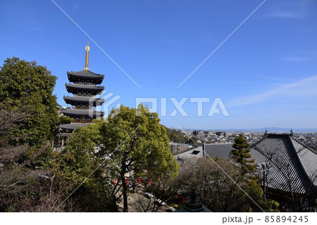 中山寺の梅林 安産の寺 聖徳太子創建 日本最初の観音霊場 中山寺の梅林 安産の寺 聖徳太子創建 日本最初の観音霊場 85894245