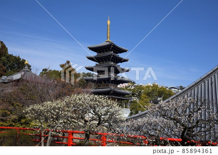 中山寺の梅林 安産の寺 聖徳太子創建 日本最初の観音霊場 中山寺の梅林 安産の寺 聖徳太子創建 日本最初の観音霊場 85894361