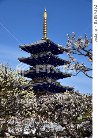 中山寺の梅林　安産の寺　聖徳太子創建 日本最初の観音霊場 85894362