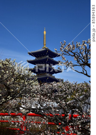 中山寺の梅林 安産の寺 聖徳太子創建 日本最初の観音霊場 中山寺の梅林 安産の寺 聖徳太子創建 日本最初の観音霊場 85894363