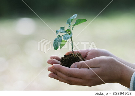 環境・エコ・SDGsイメージ 85894918