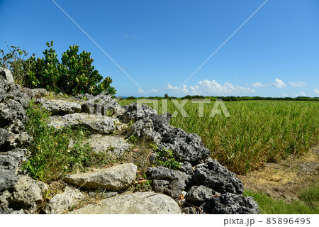 波照間島にあるコート盛の風景 85896495