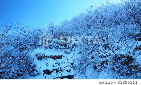 伯耆富士（大山）の冬山登山道 85896511