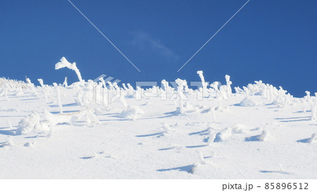 伯耆富士（大山）の樹氷 85896512