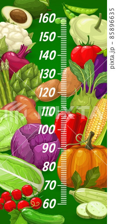 Autumn farm vegetables harvest on kids height chart. Child growth measure vector meter with avocado, pattypan squash and tomato, asparagus, potato and cabbage, corn, pepper and pumpkin, zucchini, beet Autumn farm vegetables harvest on kids height chart. Child growth measure vector meter with avocado, pattypan squash and tomato, asparagus, potato and cabbage, corn, pepper and pumpkin, zucchini, beet 85896635