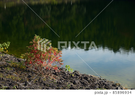 郡ダム　千葉県君津市 85896934