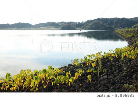 郡ダム　千葉県君津市 85896935