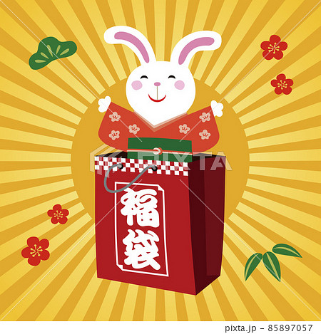 福袋から飛び出すうさぎのイラスト　年賀状素材 85897057