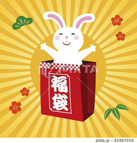 福袋から飛び出すうさぎのイラスト　年賀状素材 85897058