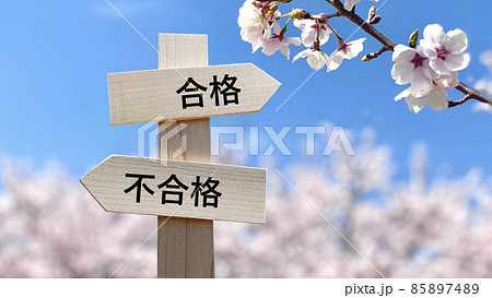 合格と不合格の文字入り道しるべと桜背景 85897489