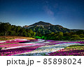 芝桜と天の川 85898024