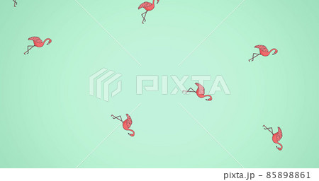 Image of flamingos moving on green background 85898861