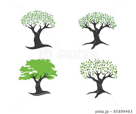 Tree leaf vector logo design, eco-friendly Tree leaf vector logo design, eco-friendly 85899463