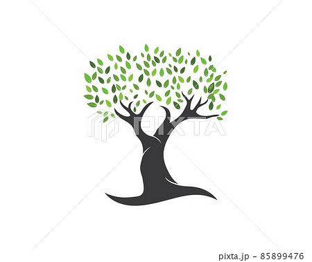 Tree leaf vector logo design, eco-friendly Tree leaf vector logo design, eco-friendly 85899476