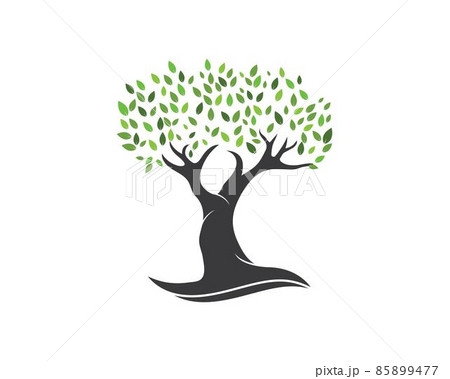 Tree leaf vector logo design, eco-friendly Tree leaf vector logo design, eco-friendly 85899477
