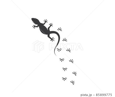 Lizard vector illustration logo Lizard vector illustration logo 85899775