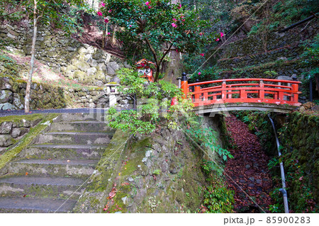 京都　秋の鞍馬寺　九十九折 85900283