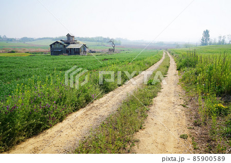 フル 郊外 夏 85900589