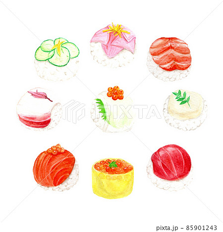 手描き水彩の手まり寿司イラストセット 手描き水彩の手まり寿司イラストセット 85901243