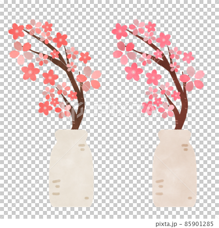 Sakura illustration material in a vase Sakura illustration material in a vase 85901285