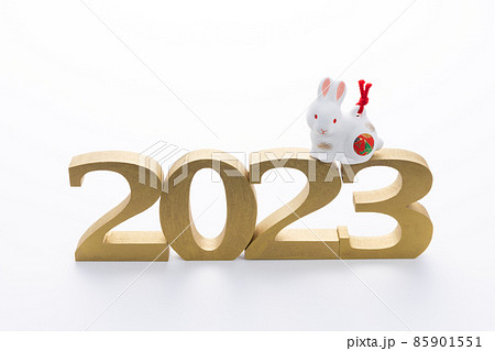 卯年 うさぎの置物 2023年 卯年 うさぎの置物 2023年 85901551