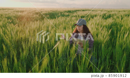 farmer with a tablet in his hands works in a field with green wheat, agriculture, transfer data online, produce bread on farm plantations, grow grain crops on land field of soil, agronomist business farmer with a tablet in his hands works in a field with green wheat, agriculture, transfer data online, produce bread on farm plantations, grow grain crops on land field of soil, agronomist business 85901912