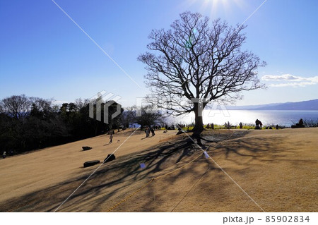 青空の吾妻山公園 85902834