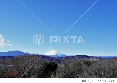 吾妻山公園山頂から見える雪の富士山 吾妻山公園山頂から見える雪の富士山 85903334
