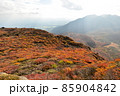 大舟山の紅葉 85904842