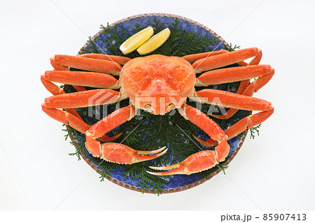 青い円い皿に盛って真上から撮ったズワイガニの丸ごと　顔が下 85907413