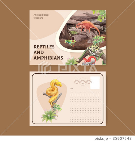 Postcard template with reptiles and amphibians animal concept,watercolor style 85907548
