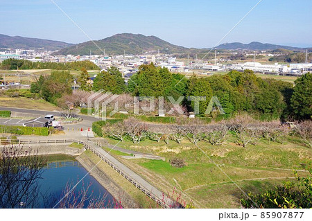 兵庫県淡路島 広田梅林ふれあい公園から洲本市方面を望む 兵庫県淡路島 広田梅林ふれあい公園から洲本市方面を望む 85907877