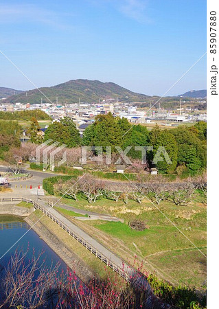 兵庫県淡路島 広田梅林ふれあい公園から洲本市方面を望む 兵庫県淡路島 広田梅林ふれあい公園から洲本市方面を望む 85907880