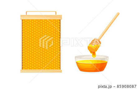 Beekeeping and honey production set. Apiculture product and equipment vector illustration Beekeeping and honey production set. Apiculture product and equipment vector illustration 85908087