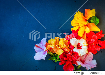 Fresh hibiscus flowers 85908092