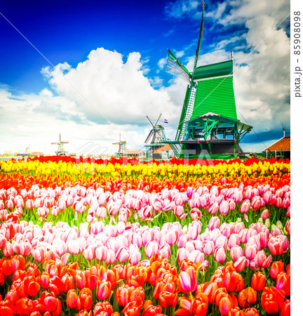 Dutch wind mills 85908098