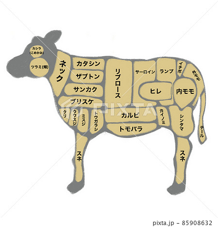 牛肉の部位イラスト 85908632