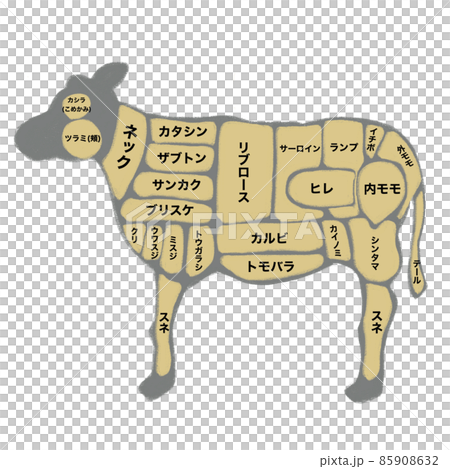 牛肉の部位イラスト 85908632